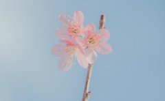 陜西女子剖腹產成植物人,出院兩年今去世
