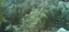 青海門源縣夜間天空亮如白晝,地震局回復沒科學依據