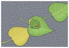 不接陌生電話但是要去搜,微信朋友圈發(fā)多了會折疊