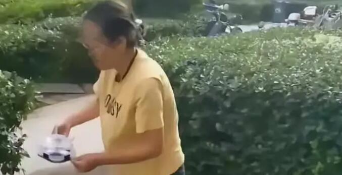 女子小區內投放蟑螂